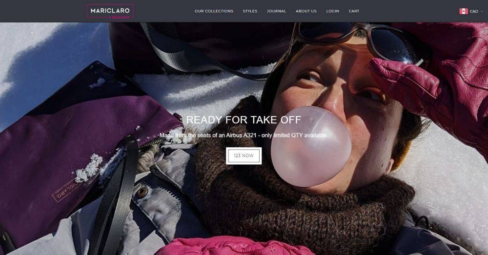 the best Shopify stores make a difference.